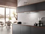 קולט אדים אינטגרלי (Built-in Slimline) 60 ס"מ Miele DAS 2920 Stainless Steel 2